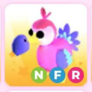 DODO NFR