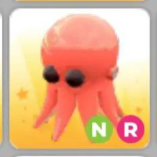 OCTOPUS NR