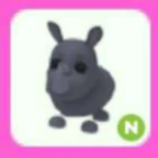 RHINO N