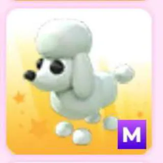 POODLE M