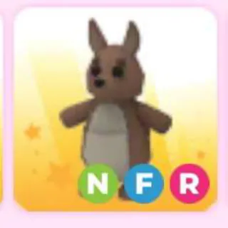 KANGAROO NFR