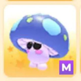 MUSHROOM FRIEND M