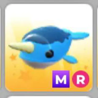 NARWHAL MR