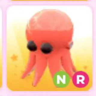 OCTOPUS NR