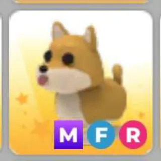 SHIBA INU MFR