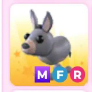 DONKEY MFR