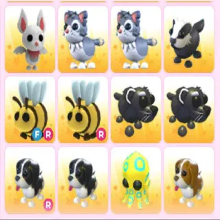 ADOPTME PETS X12