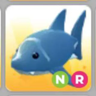 SHARK NR