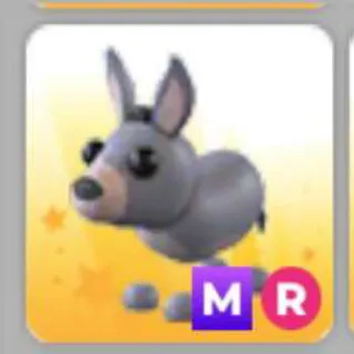 DONKEY MR