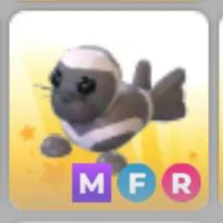 RIBBON SEAL MFR