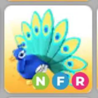 PEACOCK NFR