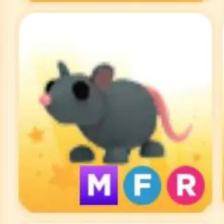 RAT MFR