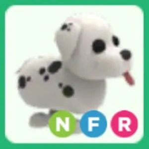 NFR Dalmatian