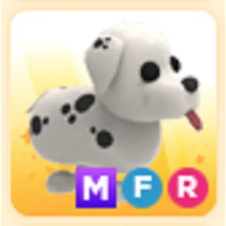 MFR Dalmatian Adopt Me