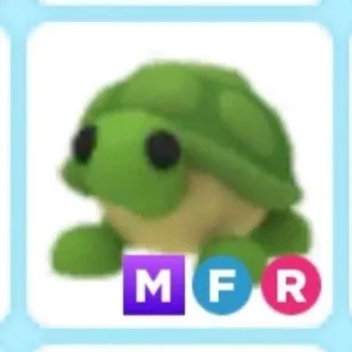 MFR Turtle Adopt Me