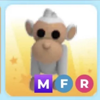 MFR Albino Monkey