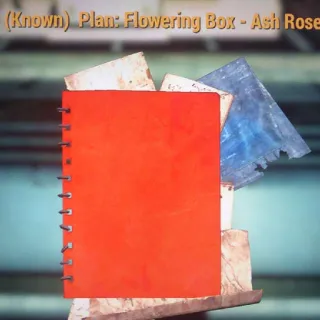 Flowering Box Ash Rose