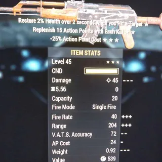 V RAP/25 Handmade Rifle