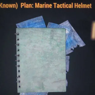 Marine Tactical Helmet