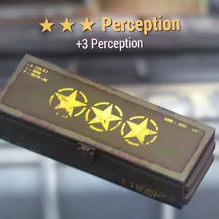 Perception Box Mod 3⭐