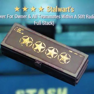 Stalwart's Box Mod