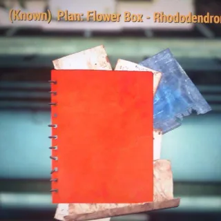 Flower Box Rhododendron