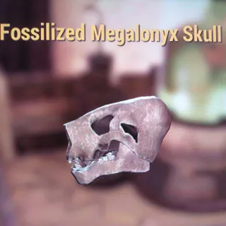 Megalonyx Skull Crafted