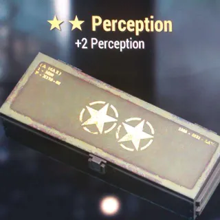 Perception Box Mod 2⭐