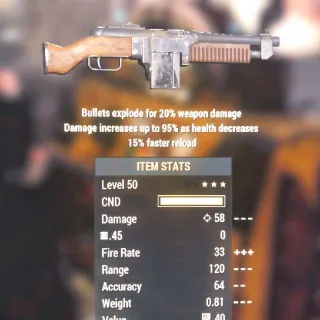 Weapon | BE/FR Combat Rifle