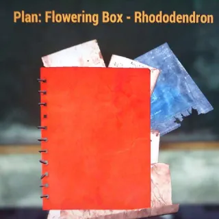 Flowering Box Rhododen