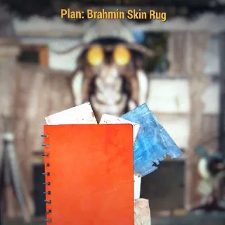 Plan | Brahmin Skin Rug Plan