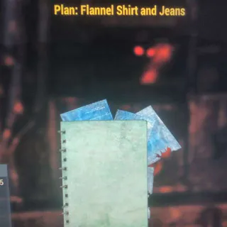 Flannel Shirt & Jeans