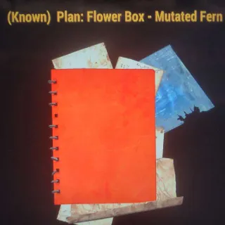 Flower Box Mutated Fern