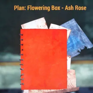 Flowering Box Ash Rose