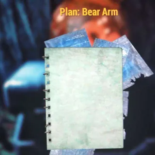 Bear Arm