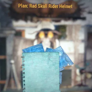 Rad Skull Rider Helmet