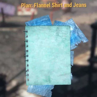 Flannel Shirt and Jeans