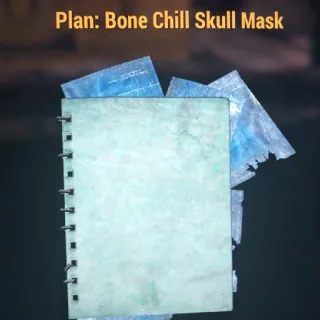 Bone Chill Skull Mask