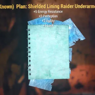 Shielded Lining Raider