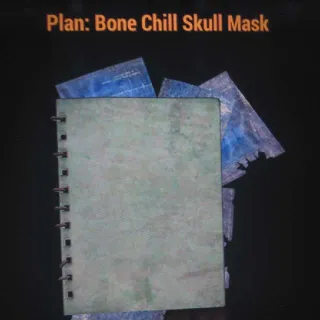 Bone Chill Skull Mask