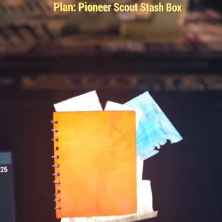 Pioneer Scout Stash Box
