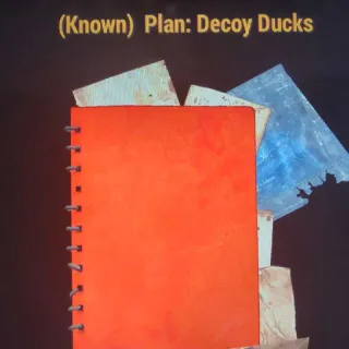Decoy Ducks Plan