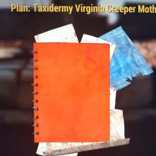 Virginia Creeper Moth