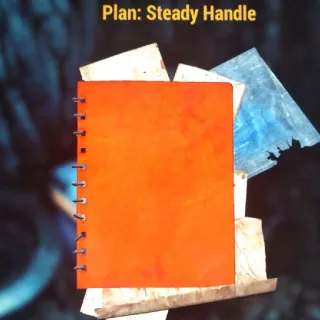 Steady Handle
