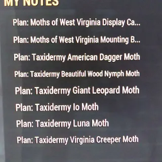 Taxidermy Moth Set (8)