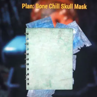 Bone Chill Skull Mask
