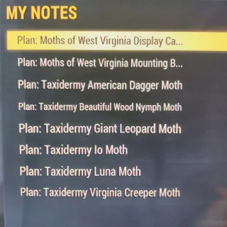 Taxidermy Moth Set