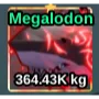 Megalodon