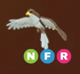 Hawk NFR