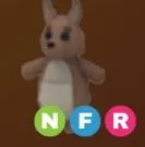 Kangaroo NFR